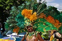 Karneval der Kulturen  103